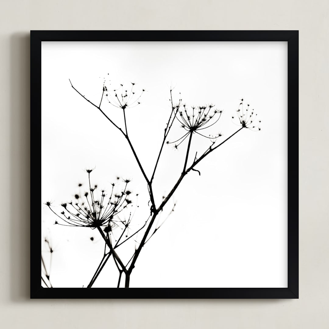 "Graphic Elements of Nature" - Art Print in Black  by Alexis Arnold - Framed