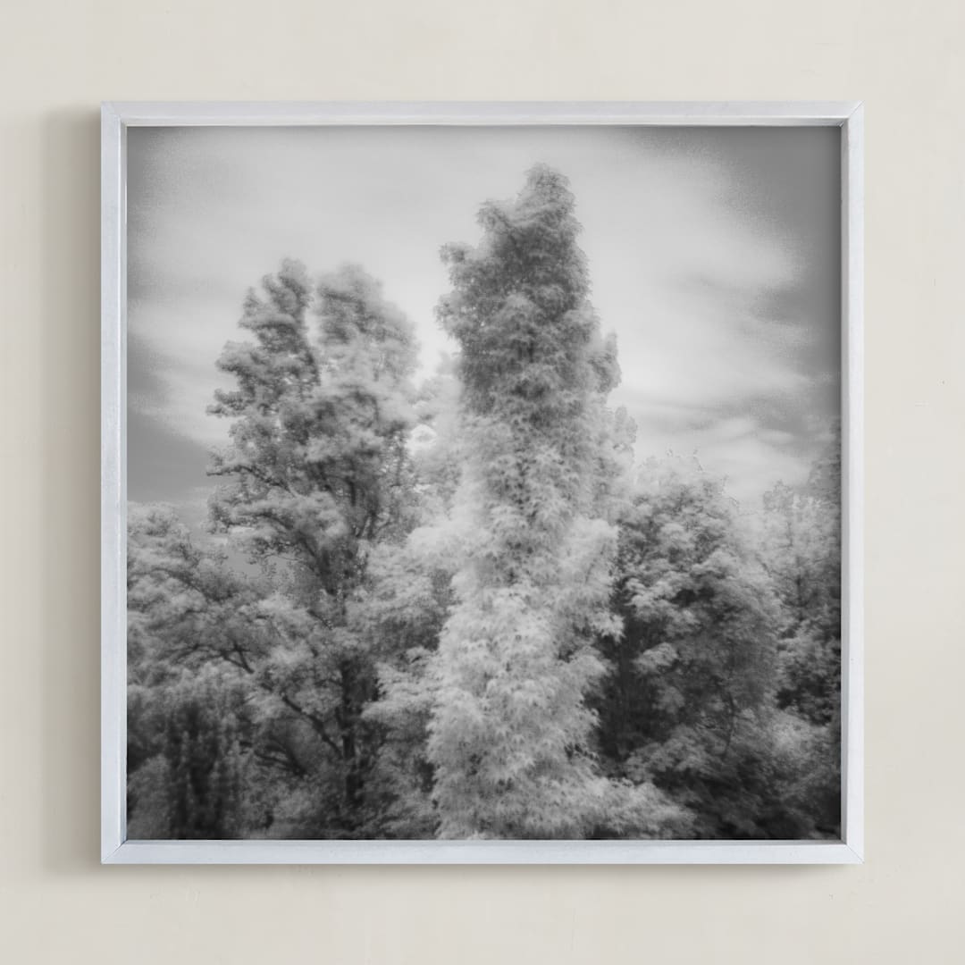 "InfraBotanical" - Art Print in Grey by Jeff Preuss - Framed