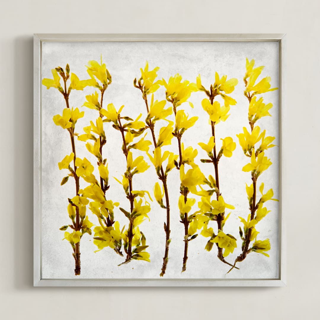 "Forsythia" - Art Print in yellow by Qing Ji - Framed