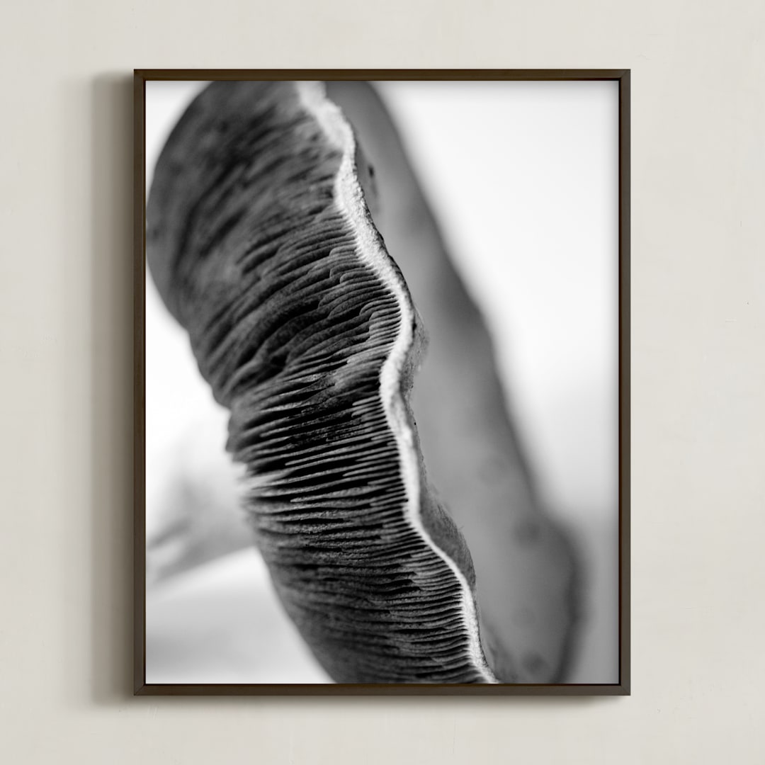 "Forest Find" - Art Print in black and white, grey, gray by Alexis Arnold - Framed