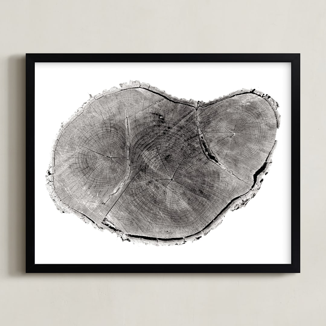 "Tree Rings pt. 1" - Art Print in Black by Mackenzie Darrach - Framed