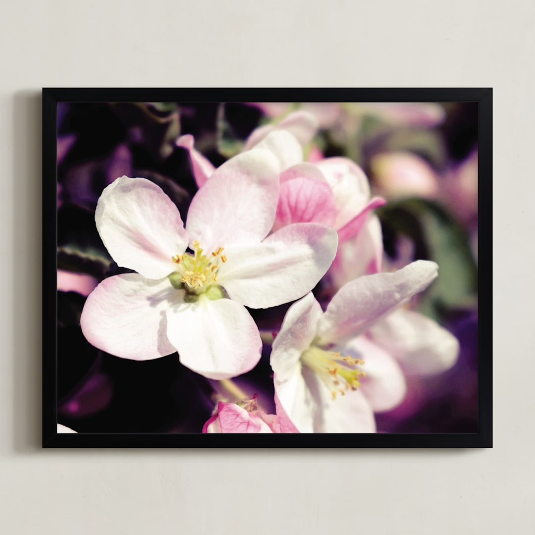 "Watercolour Apple Blossoms" - Art Print in Apple Blossom Pink by Katrina Lindhorst - Framed
