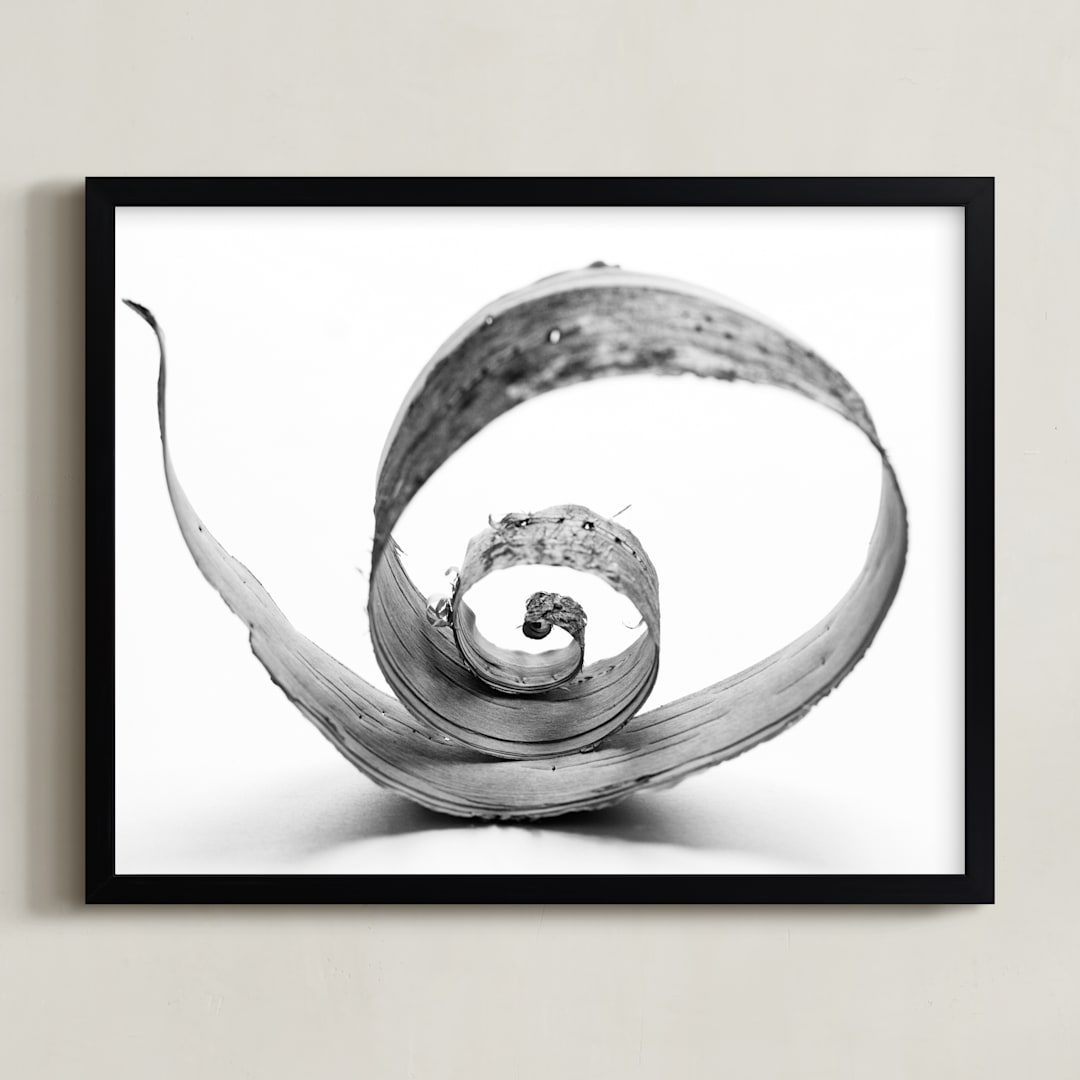 "Natures Curves" - Art Print in black and white by Alexis Arnold - Framed