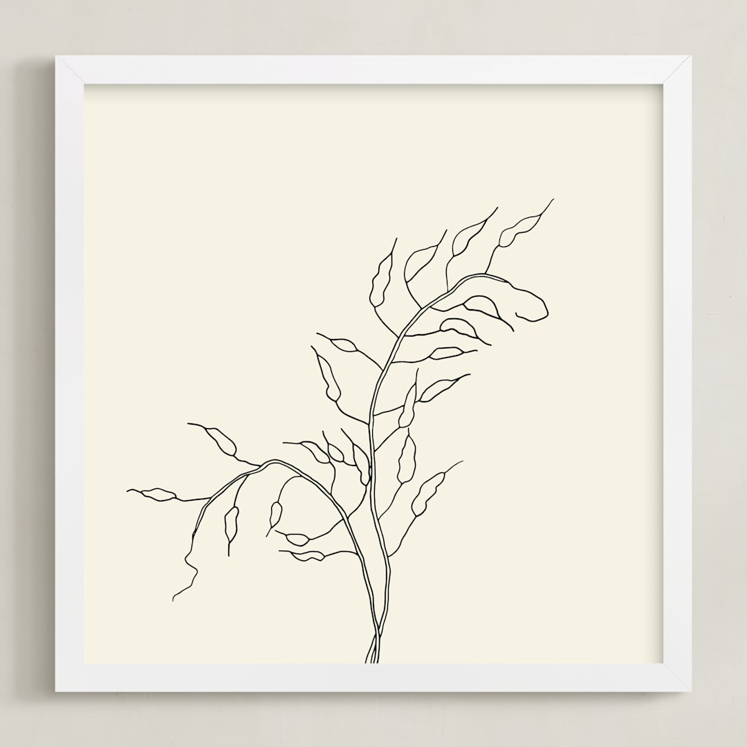 "Wild Radish" - Art Print in charcoal on ivory by Jorey Hurley - Framed