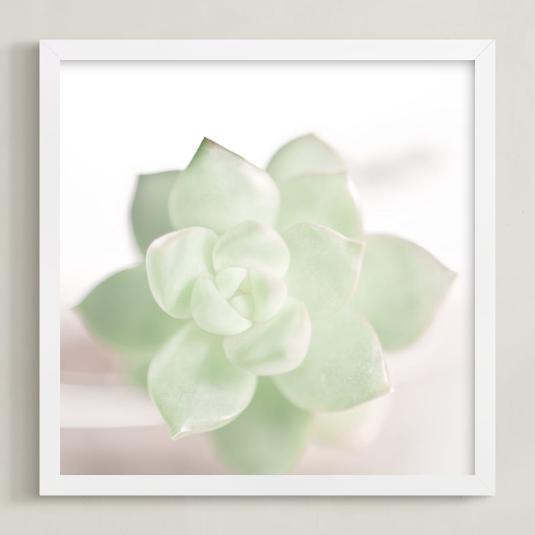 "Soft Succulent No. 2" - Art Print in Soft Sage by Andi Pahl - Framed