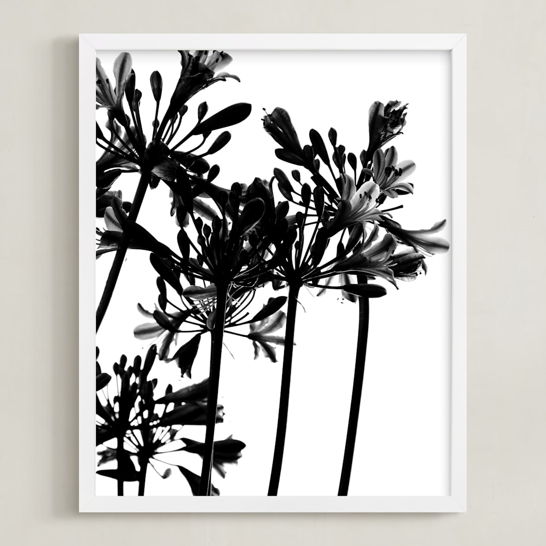 "High Drama" - Art Print in Black and White by Nadia Hassan - Framed