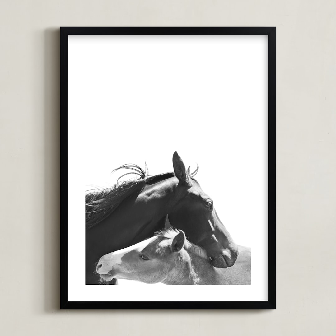 "Foal" - Art Print in Charcoal by Anne Ciotola - Framed