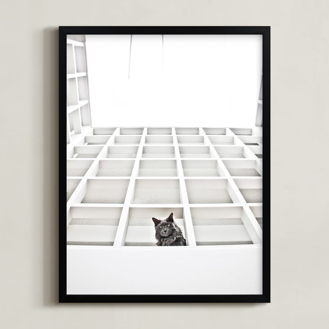 "Sophies Jungle" - Art Print in Black and White by Katrina Leandro - Framed