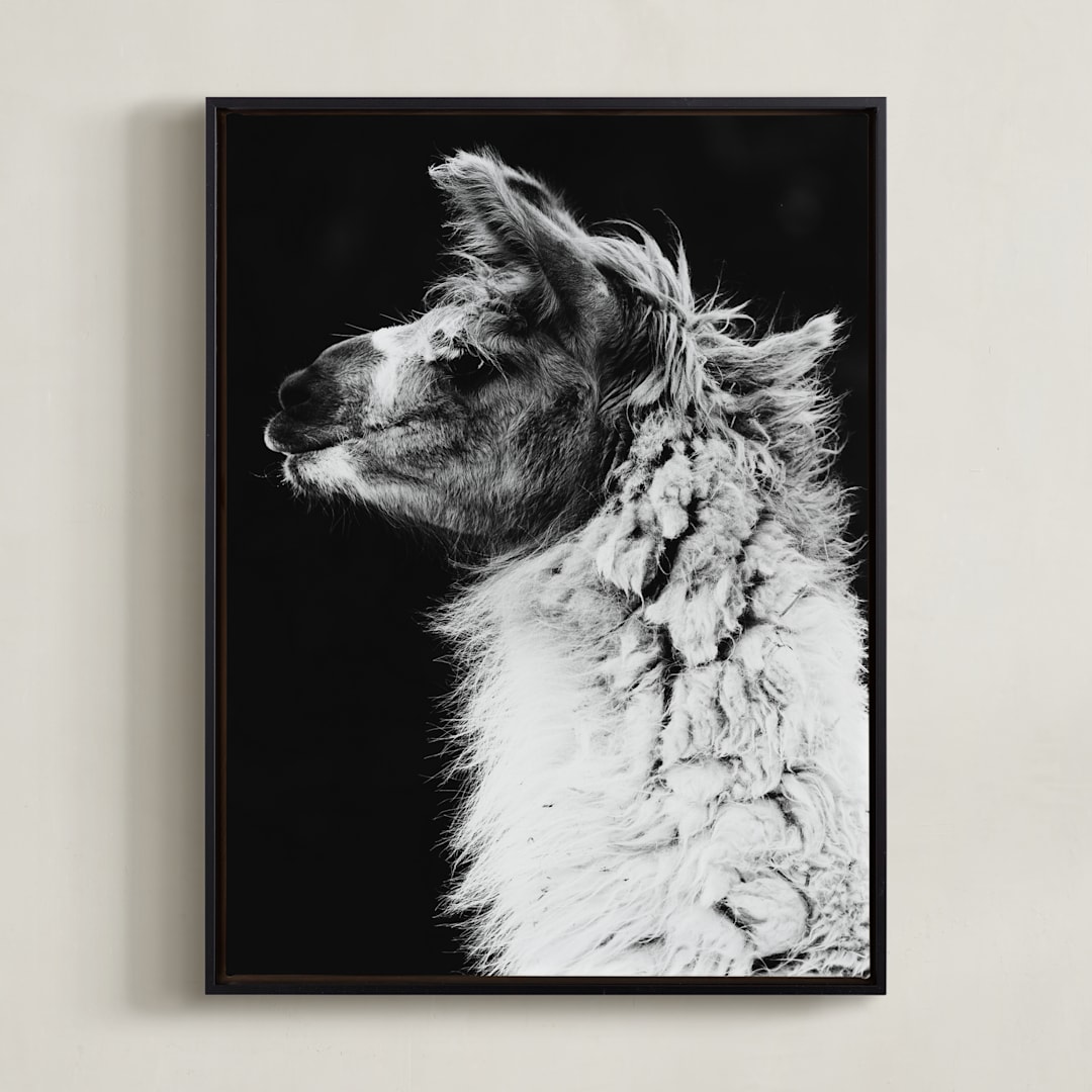"Kai" - Art Print in Black White by Amy Carroll - Framed Canvas