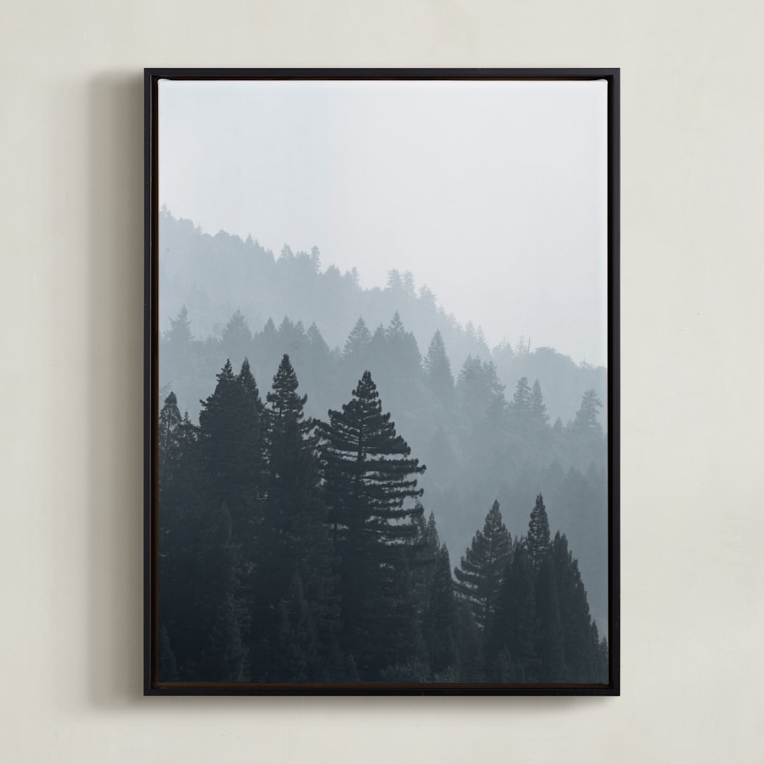 "Mendocino 2" - Art Print in spruce by Kamala Nahas - Framed Canvas