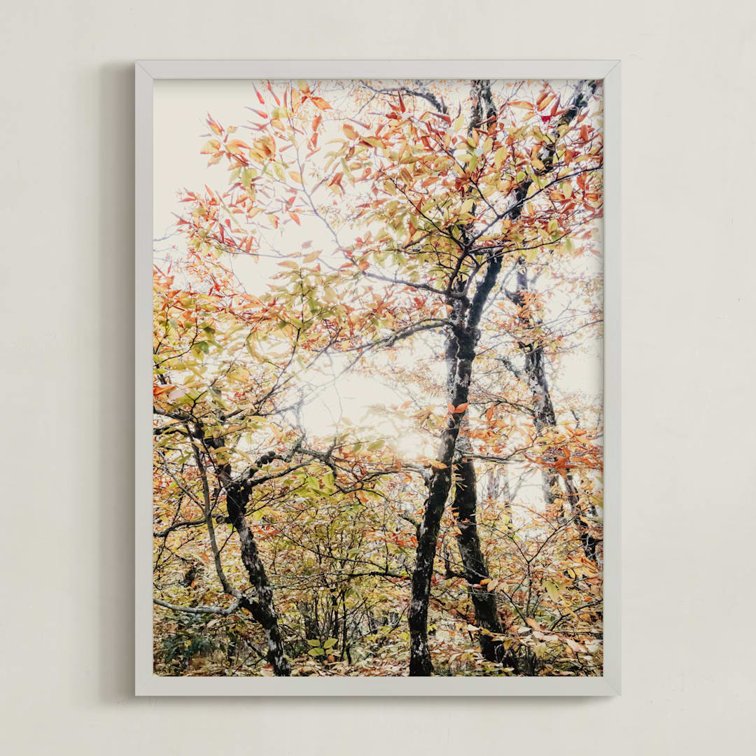 "Tenacity" - Art Print in Amber by Courtney Crane - Framed