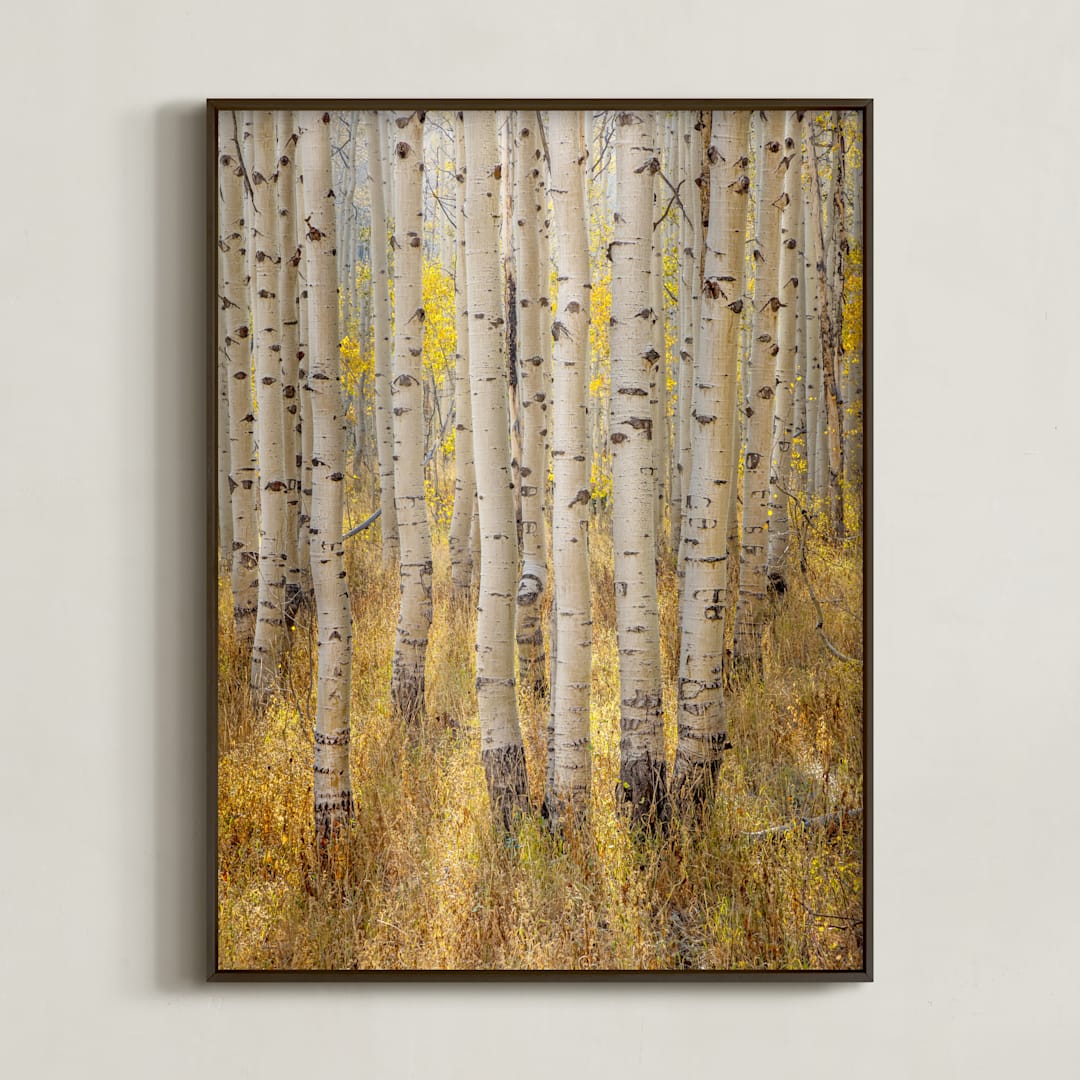 "filtered light" - Art Print in Harvest Yellow by Eric Clegg - Framed