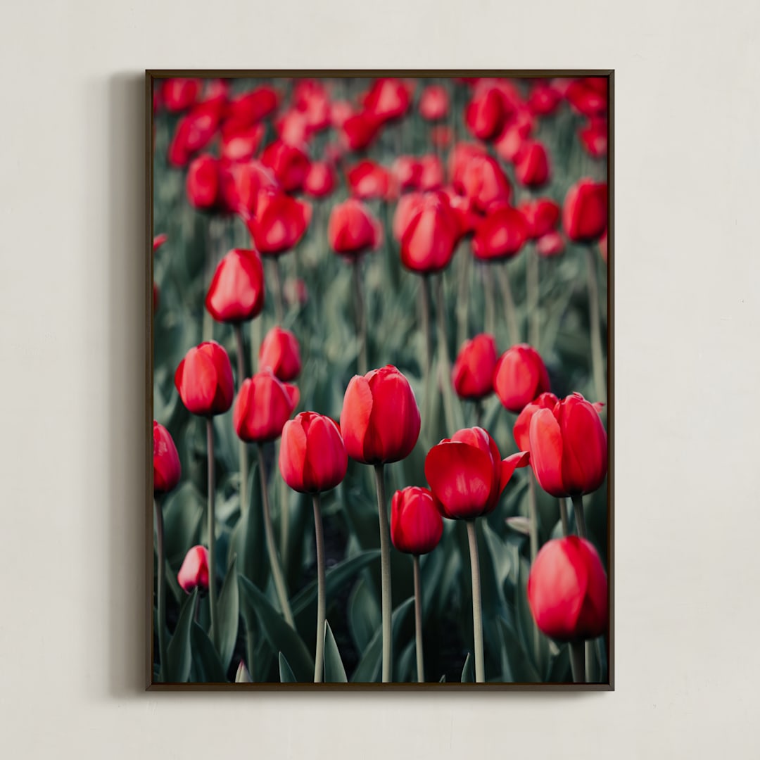 "Red Tulips" - Art Print in Red by Lucila Naves - Framed