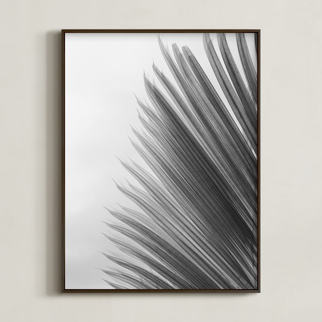 "Palm leaves 1" - Art Print in black and white by Eliane Lamb - Framed
