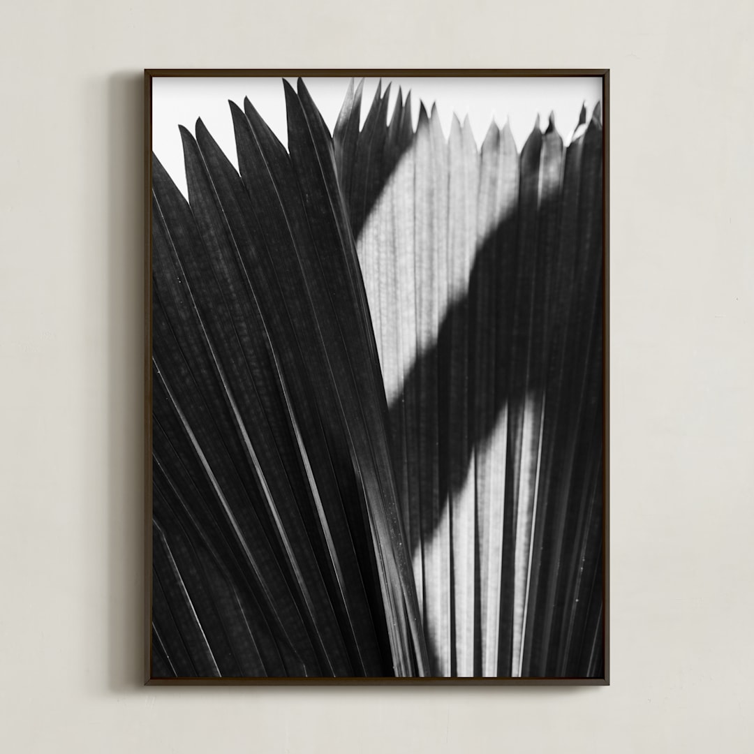 "Palmery 2" - Art Print in Black and White by Catherine Culvenor - Framed