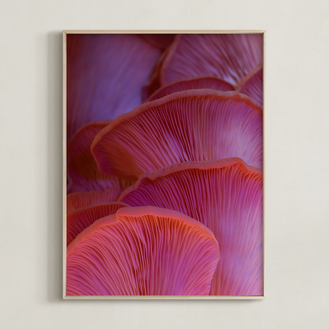 "Pink Oyster Mushrooms" - Art Print in Dreamy Pink Violet by Elena Kulikova - Framed