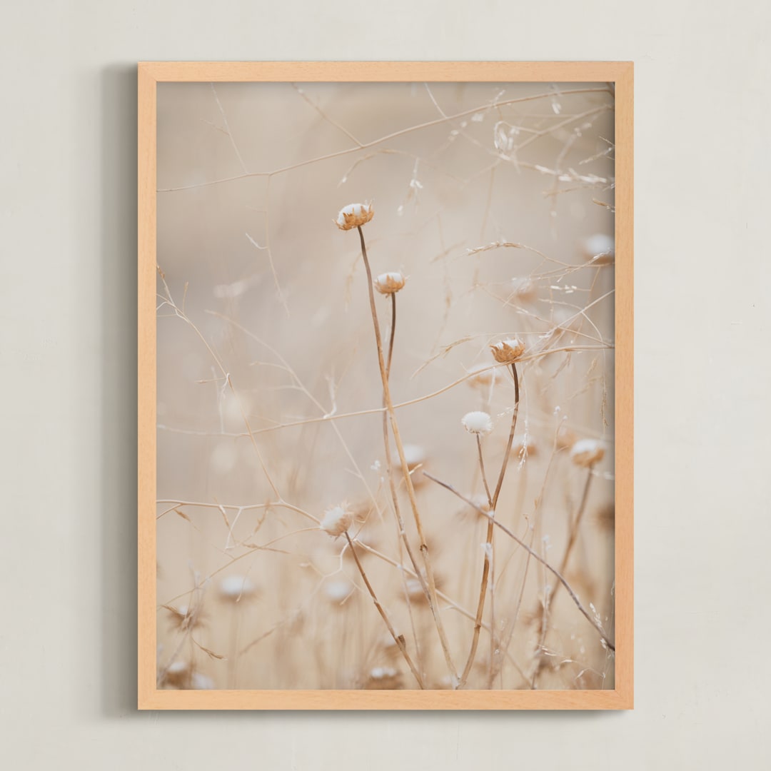 "winter thistle no.1" - Art Print in vintage by Crystal Lynn Collins - Framed