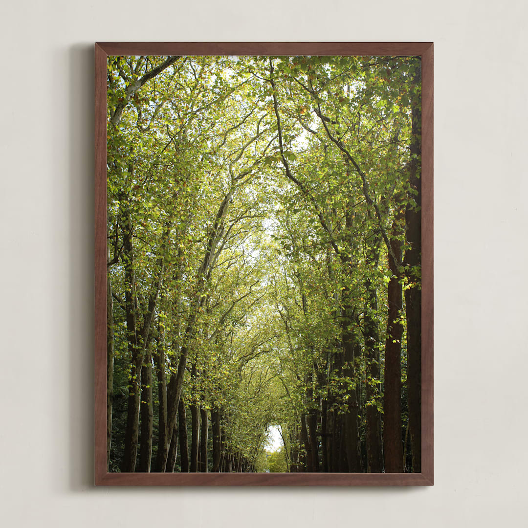 "Canopy of Trees" - Art Print in Green by Eric Clegg - Framed