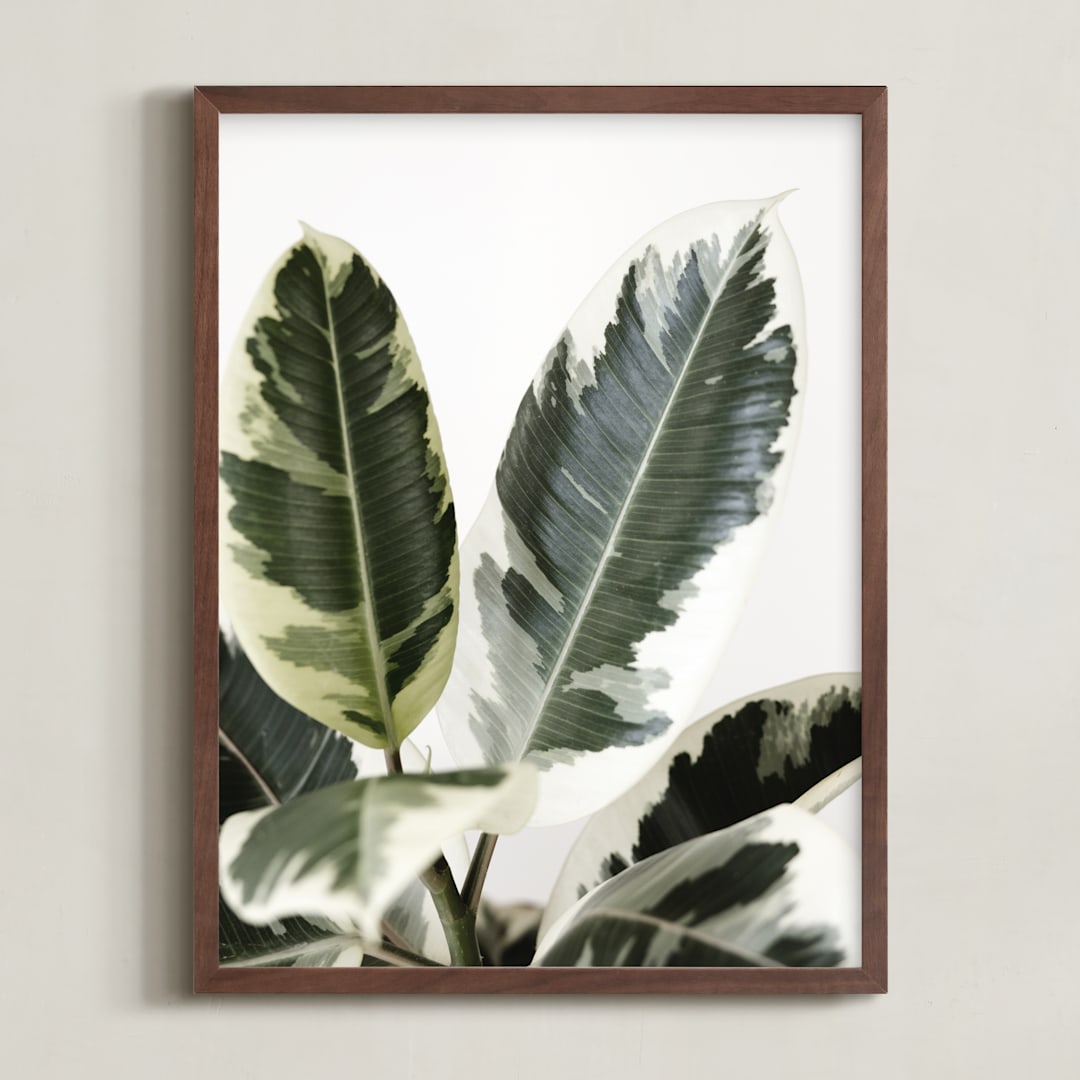 "Jack" - Art Print in variegated green by Kristi Jackson - Framed