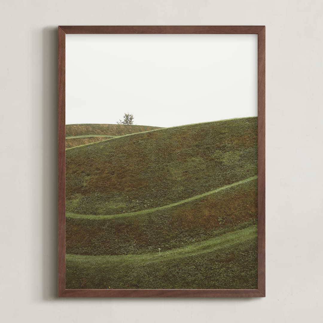 "Swooped I" - Art Print in Bog by Kamala Nahas - Framed