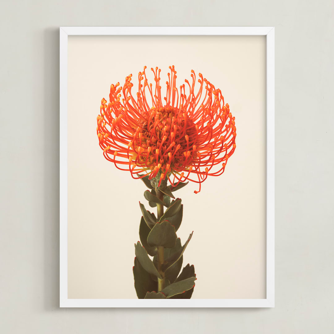 "Protea I" - Art Print in tangerine by Kamala Nahas - Framed