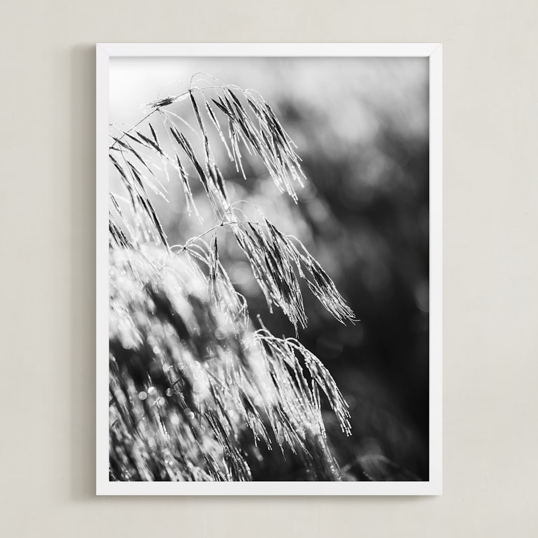 "Dancing grass II" - Art Print in Shadow by Magdalena Kucova - Framed