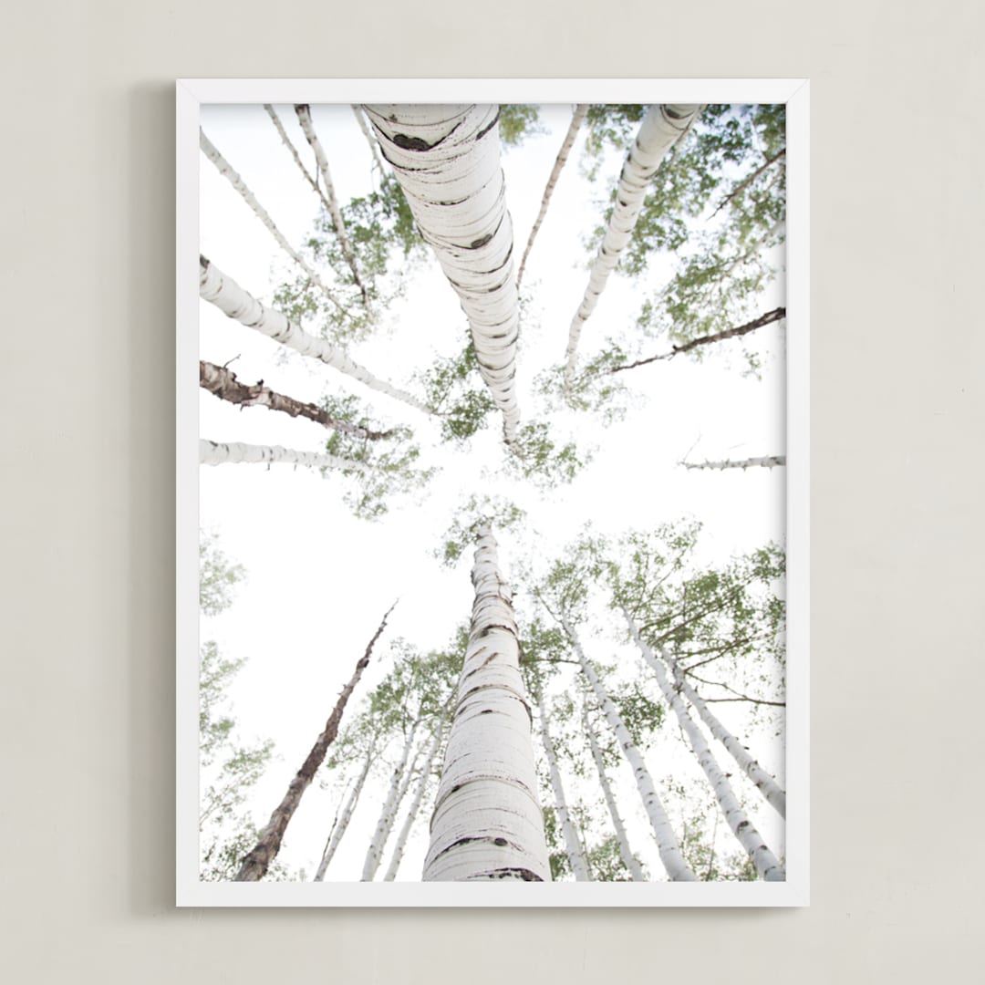 "Aspens at Altitude" - Art Print in Wonderfully White by Kaleb Nimz - Framed
