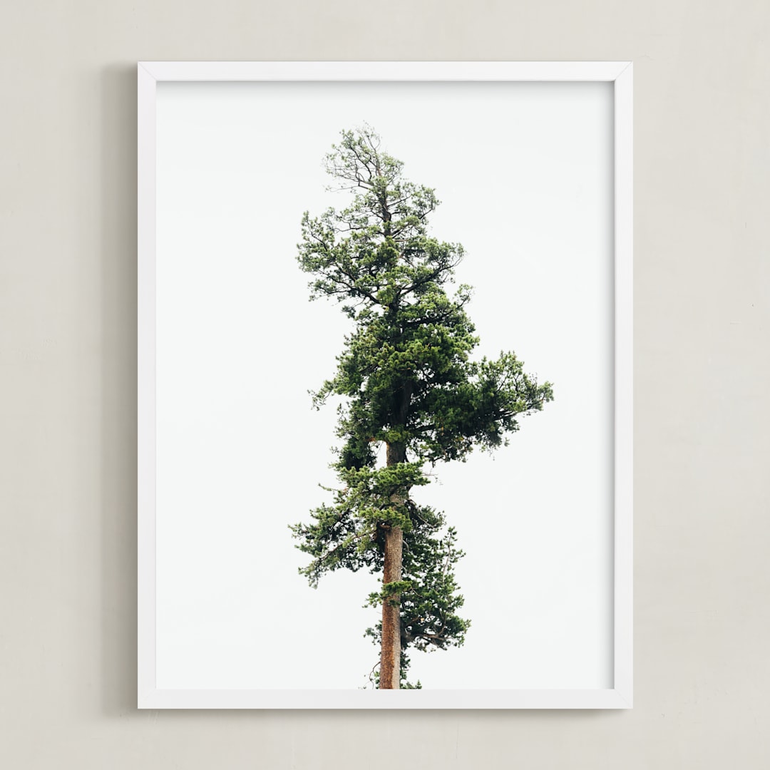 "Solo" - Art Print in spring rain by Kamala Nahas - Framed