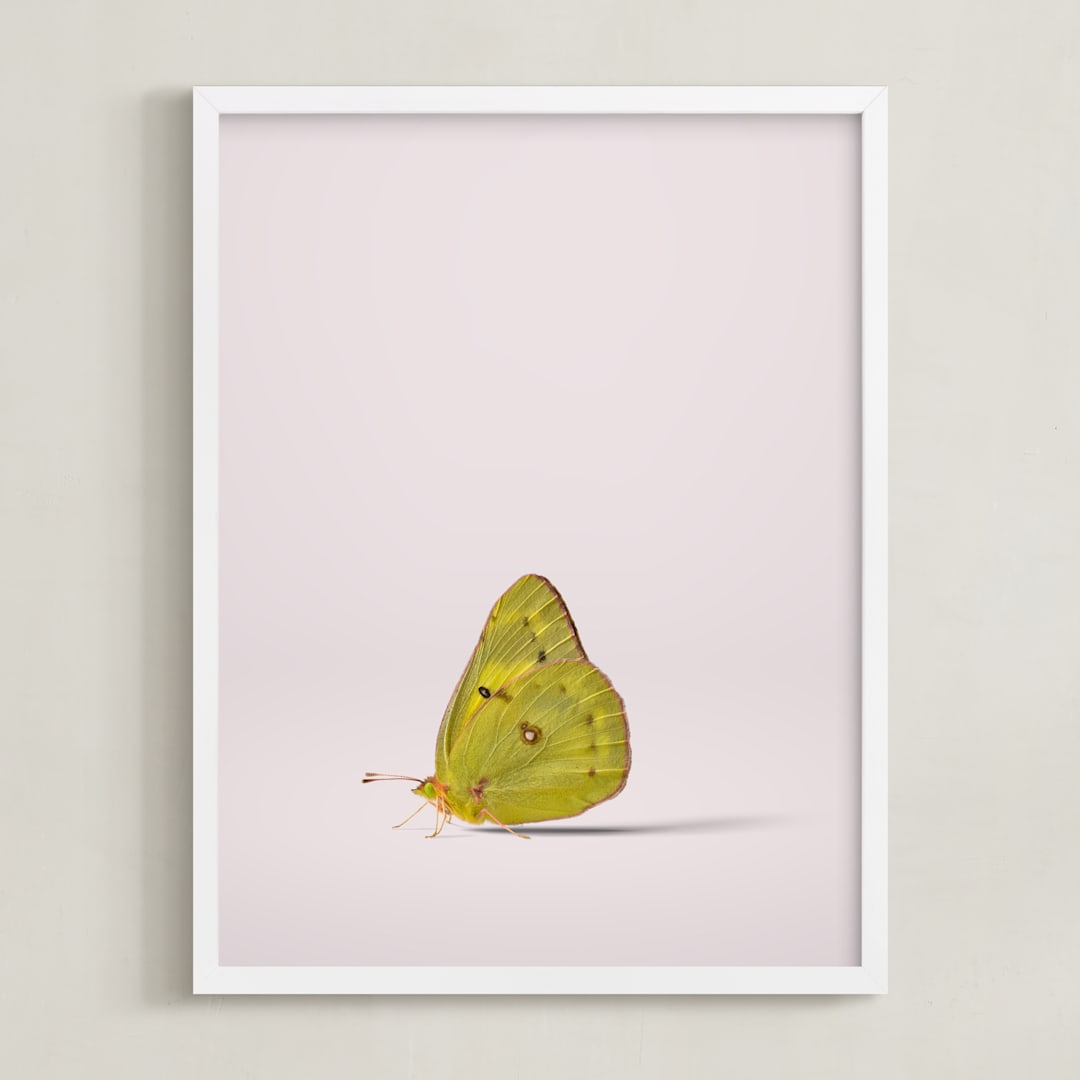 "Tiny Wings" - Art Print in Dusty Pink by Andrew McClintock - Framed