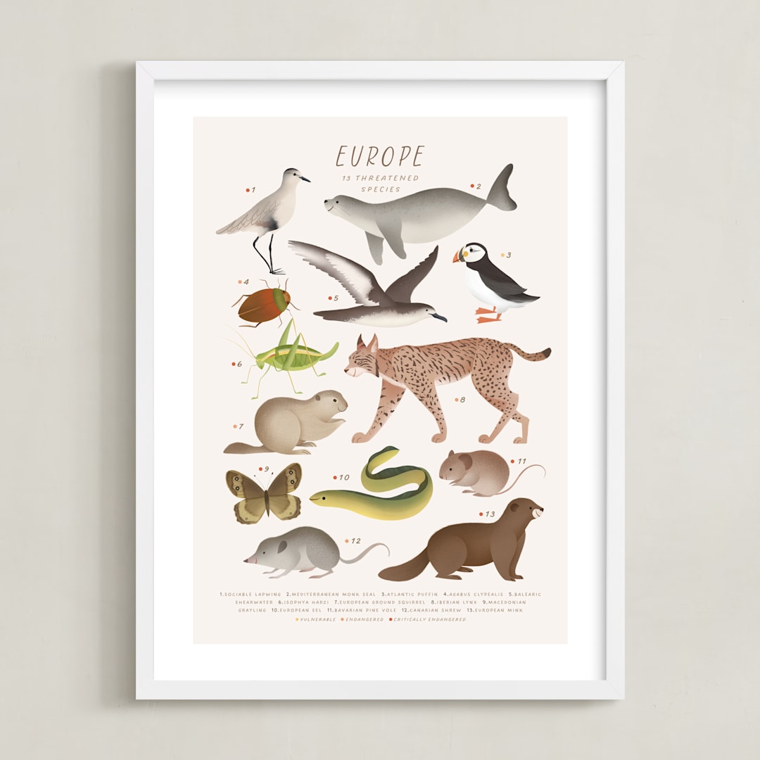 "Europe, endangered animals" - Art Print in Ivory by Sabrin Deirani - Framed