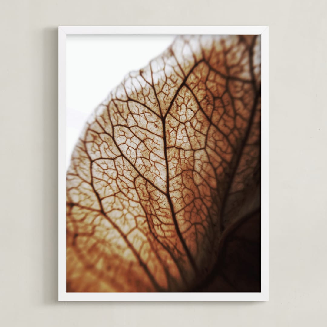 "Beauty in the details 2" - Art Print in Milk Chocolate brown by Aspa Gika - Framed