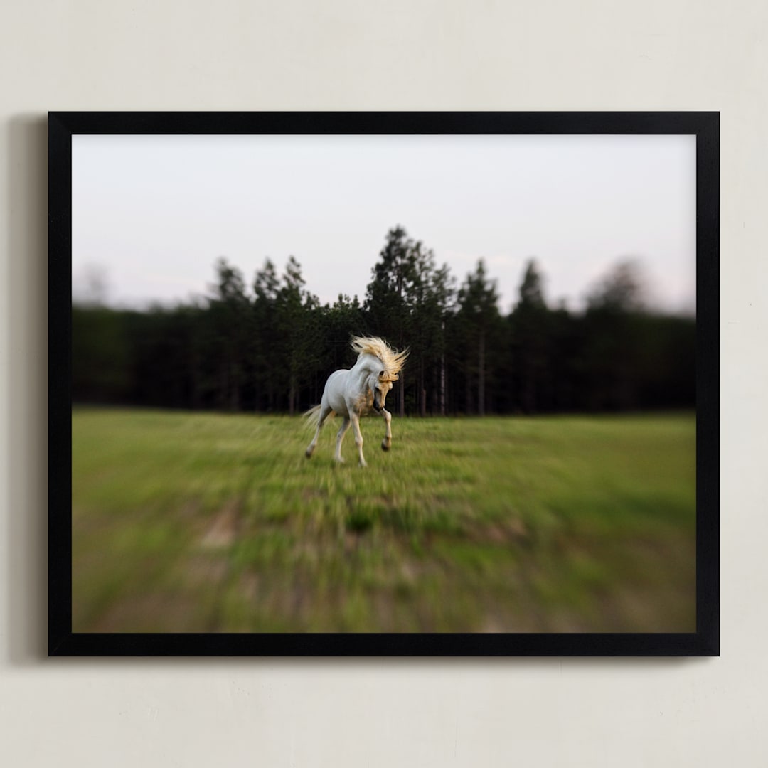 "Unicorn Pony" - Art Print in Grass by Meghan Benge - Framed