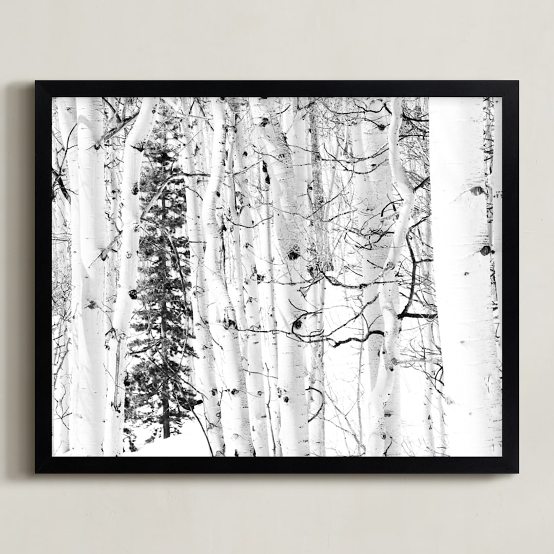 "Colorado Winter Pine" - Art Print in Black and White by Jake Belvin - Framed