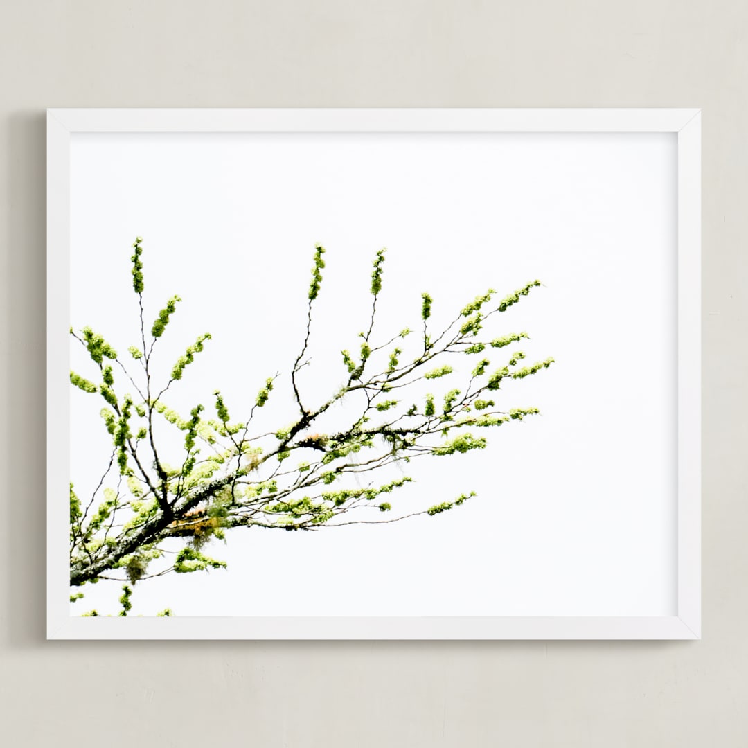 "Sun seeking" - Art Print in Green by Eliane Lamb - Framed