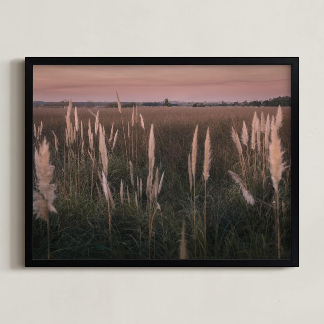"Pampas grass" - Art Print in Sunset by Lucia Coppola - Framed