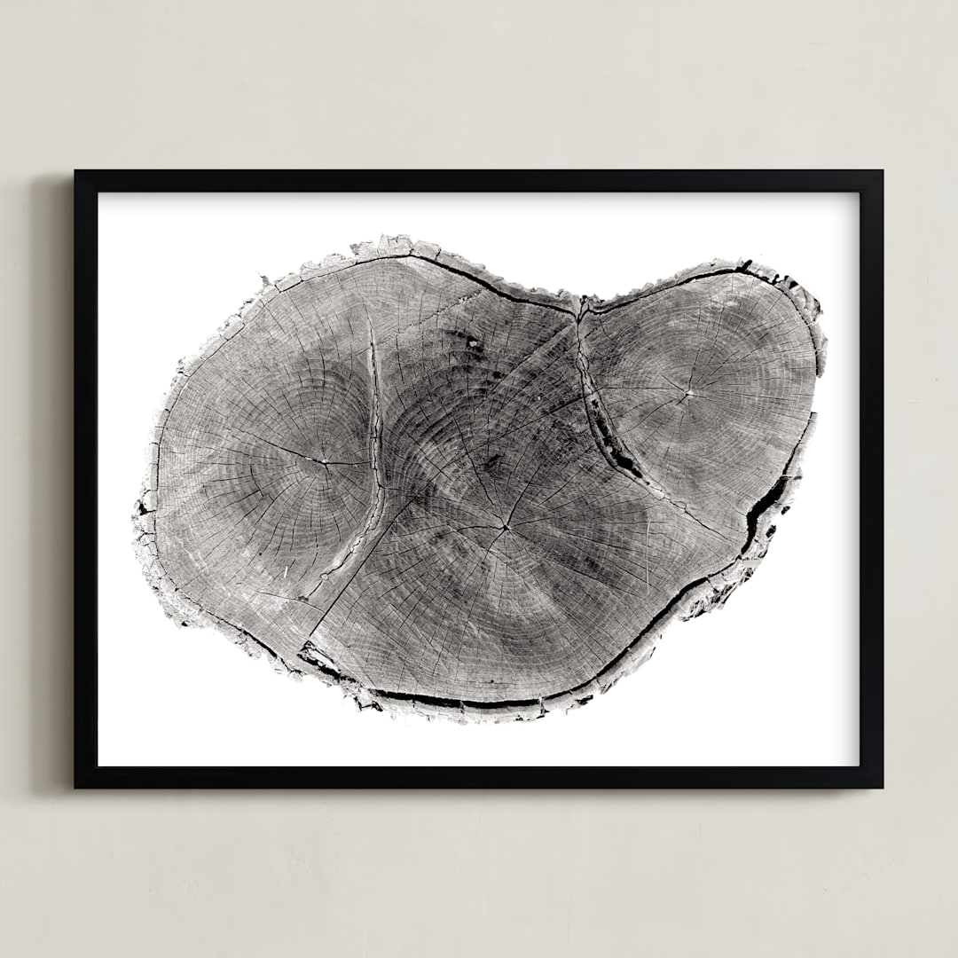 "Tree Rings pt. 1" - Art Print in Black by Mackenzie Darrach - Framed