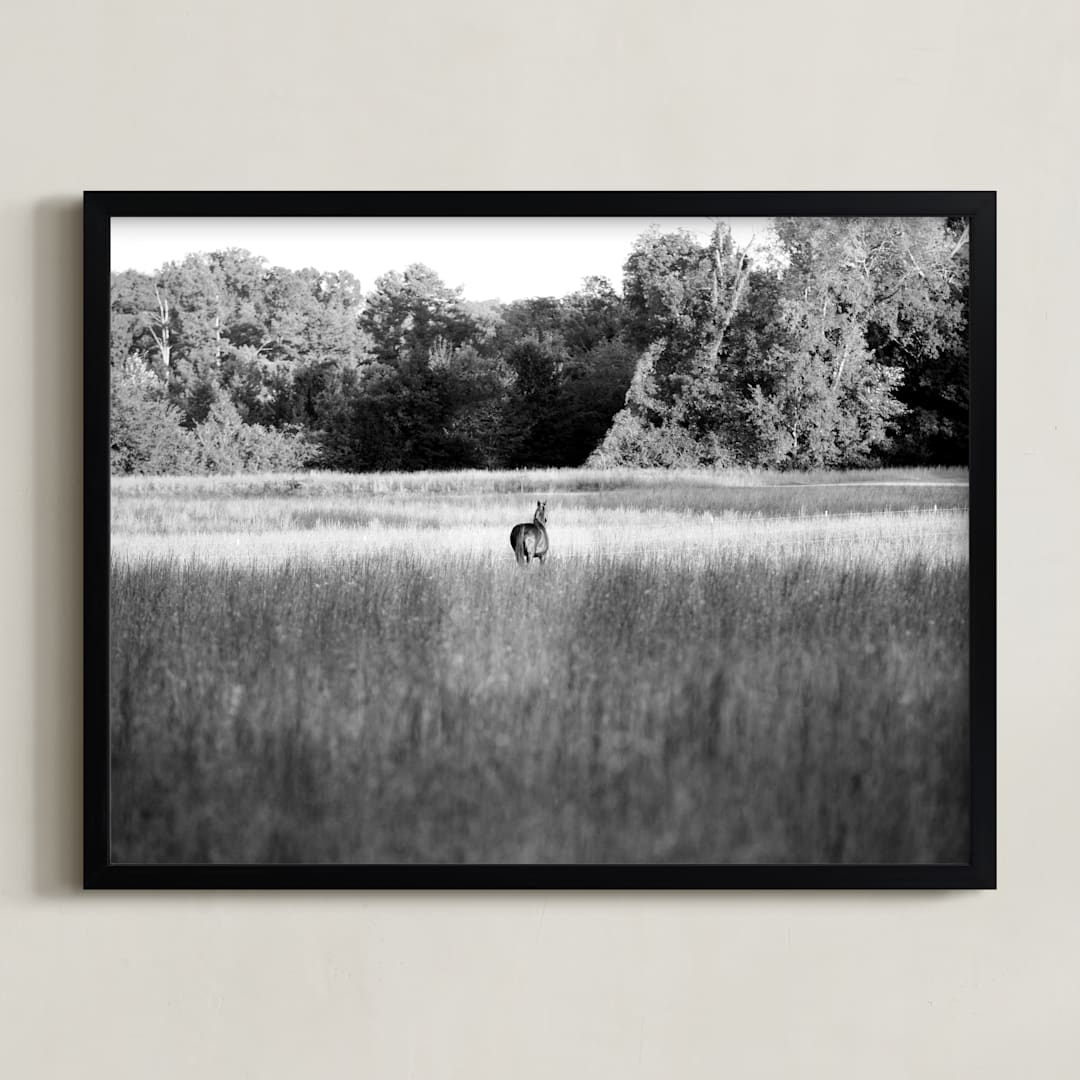 "Open Field" - Art Print in Black & White by Hannah Graham - Framed