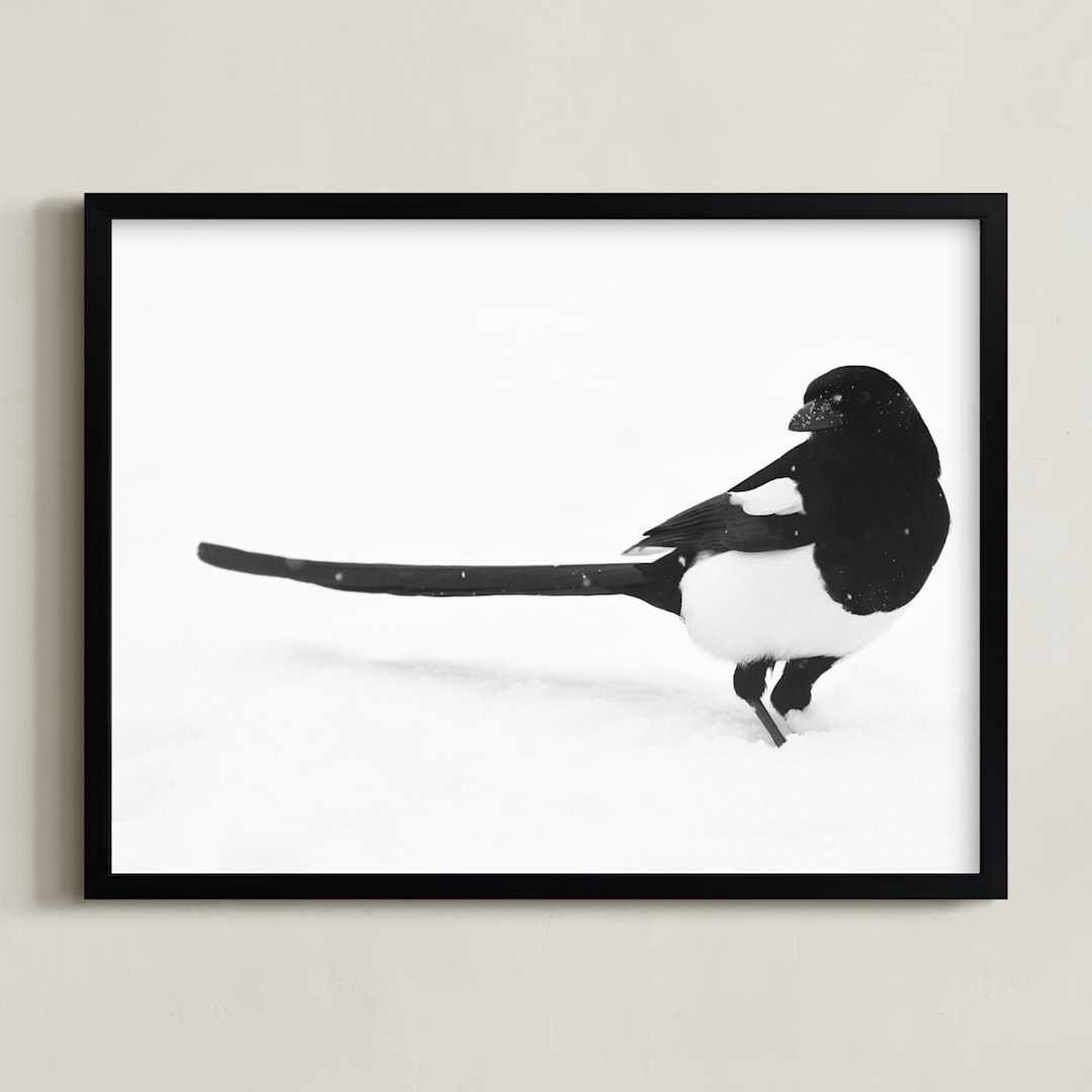 "Magpie" - Art Print in black bird by Leslie Le Coq - Framed