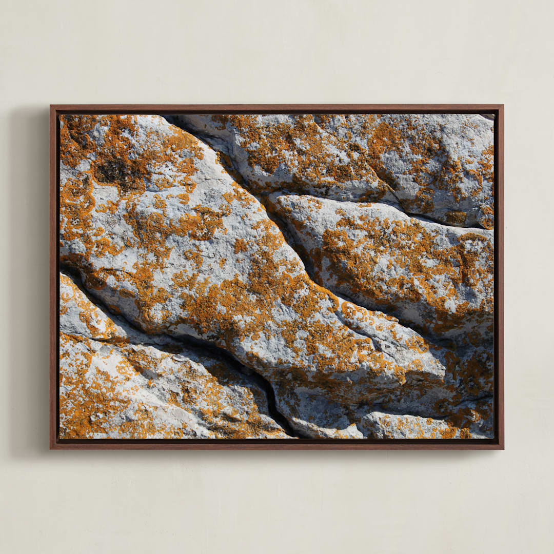 "Mediterranean Lichen" - Art Print in curcuma by Christiana Petschallies - Framed Canvas