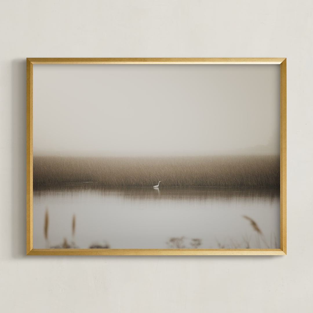 "Fragile equilibrium" - Art Print in Wetland by Lucia Coppola - Framed