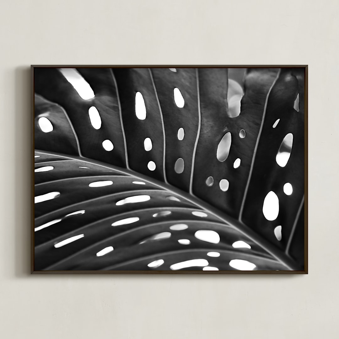 "Peek A Boo" - Art Print in black and white by Amy Chapman Braun - Framed