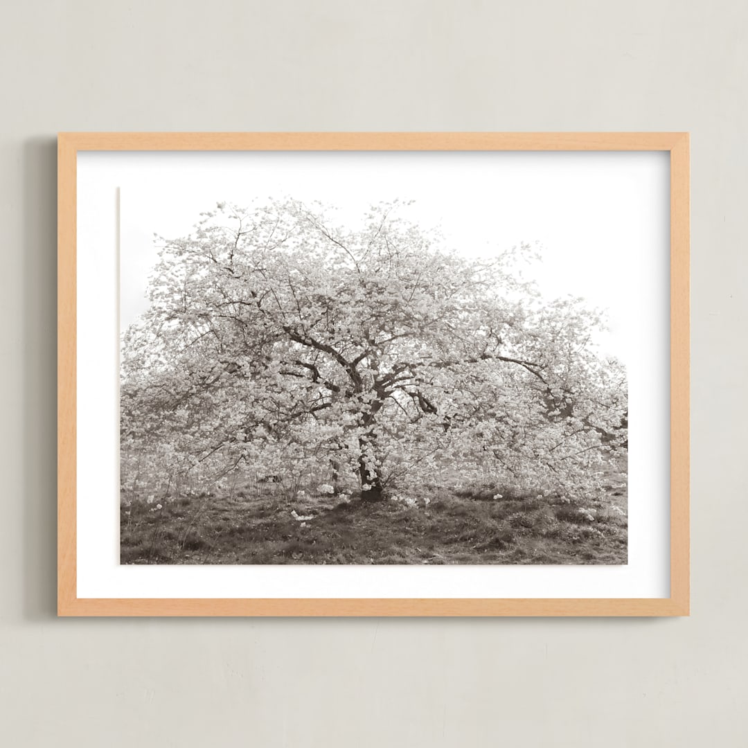 "bloom I" - Art Print in blossom by Sara Hicks Malone - Framed