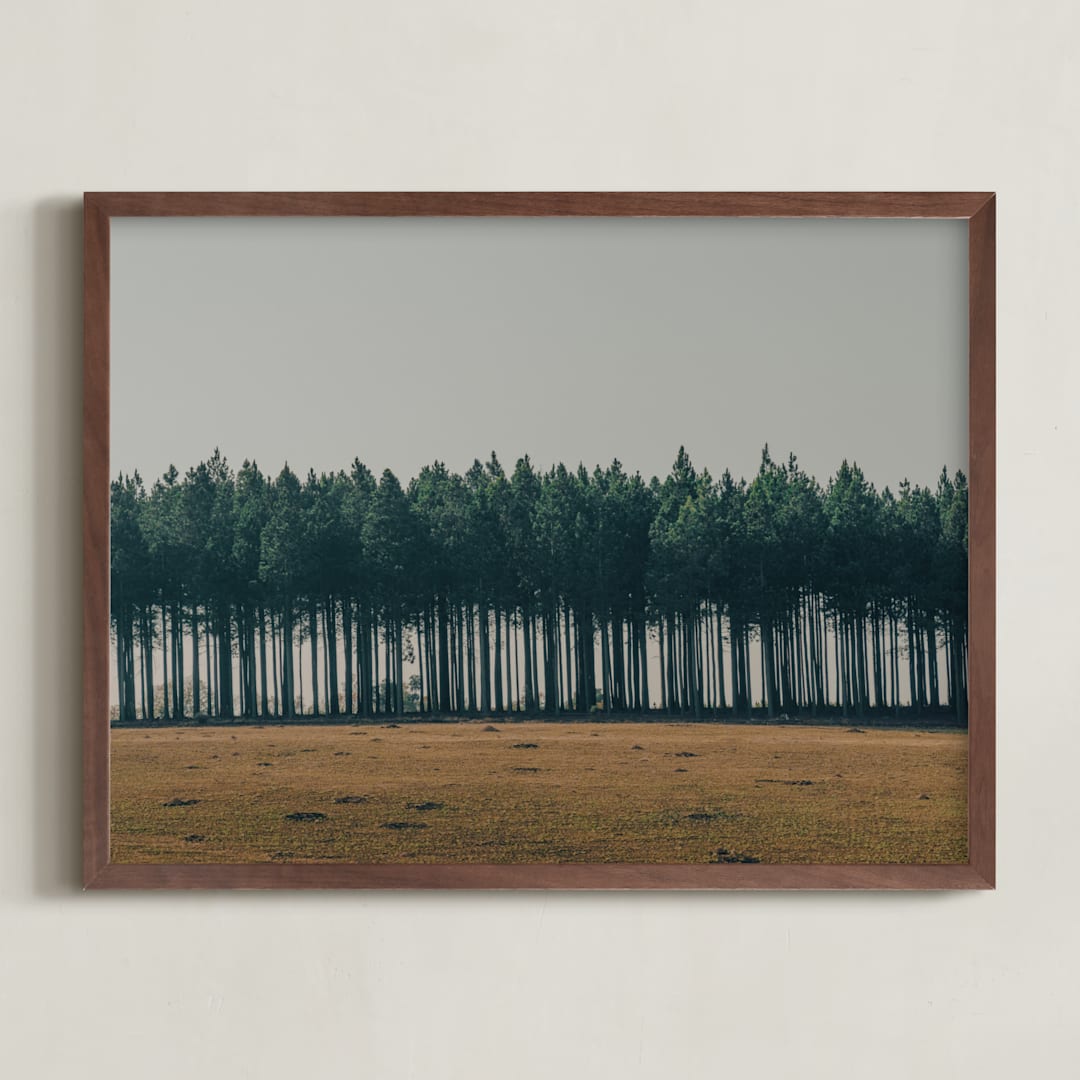 "Moody Trees" - Art Print in Pine by Zani van Zyl - Framed