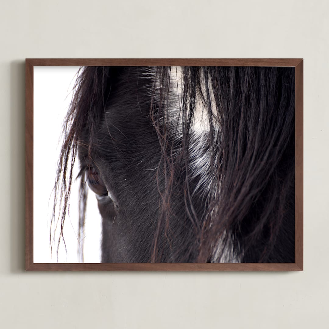 "Bucker" - Art Print in Wild Black by Leslie Le Coq - Framed