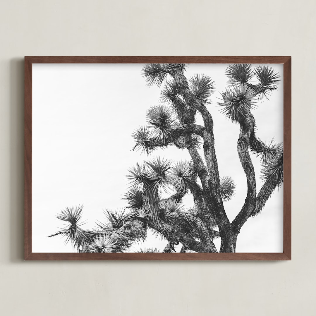 "Joshua Tree in September" - Art Print in Charcoal by Katie Doherty - Framed