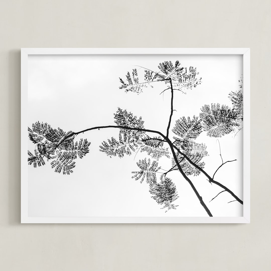"Botanical Silhouette" - Art Print in Black and White by Kaitlin Rebesco - Framed
