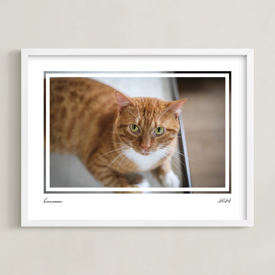 "Artifact: Landscape Framed Photo" - Framed Photo in Charcoal by Snow and Ivy - Framed