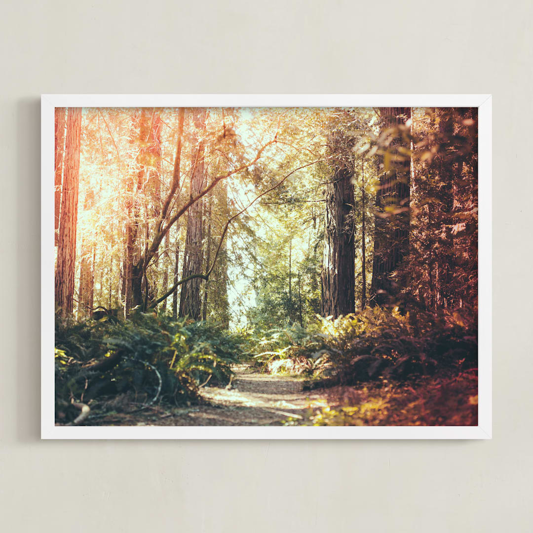 "Redwoods Path" - Art Print in Redwood Path by Elena Kulikova - Framed