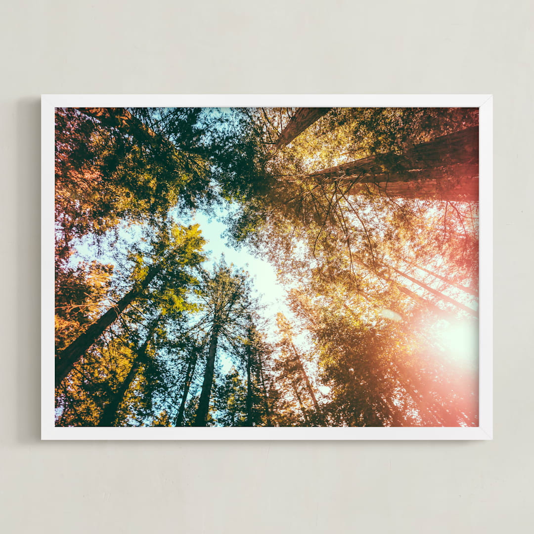 "Redwoods Surround Me" - Art Print in Forest Green by Elena Kulikova - Framed