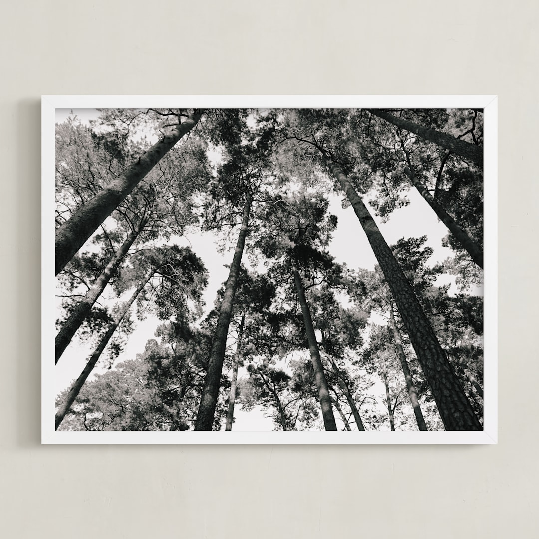 "In the Woods" - Art Print in black and white by lulu and isabelle - Framed